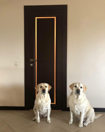 Галерея класичних дверей