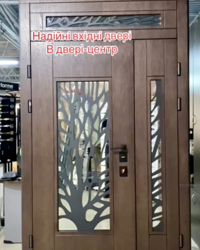 Вхідні полуторні двері для будинку 2001-49